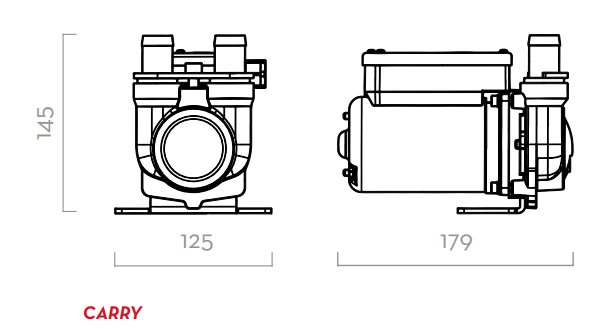 Насос для перекачки дизельного топлива 12В-вольт(V) PIUSI CARRY 3000 F0022300C, 50 л/мин