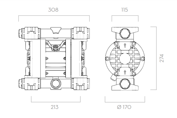 Насос для масла, дизельного топлива пневматический мембранный Piusi MA 140 F00208P10, 100л/мин