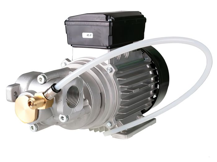 Насос для масла электрический шестеренчатый 220В-вольт(V) Piusi Viscomat Gear 200/2 M F0030403D, 9 л/мин