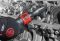 Пневмотрещoтка угловая Chicago Pneumatic CP7829H, 1/2'', 95 Нм