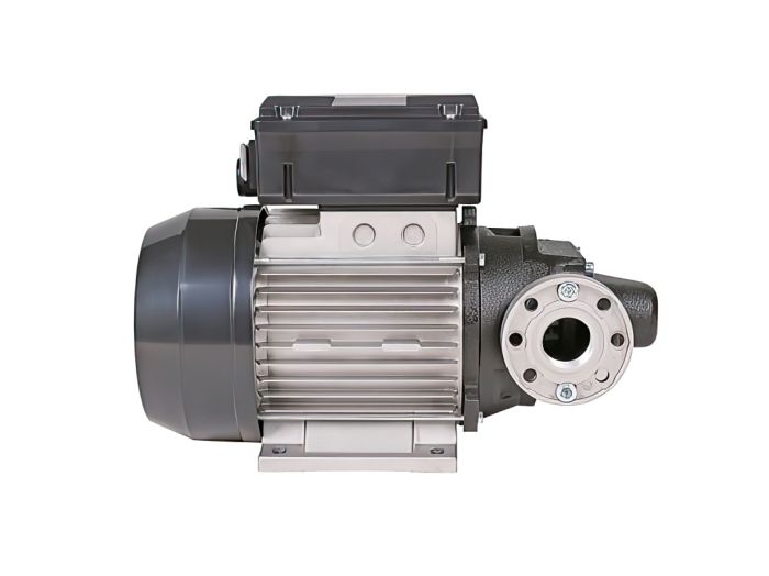 Насос для перекачки дизельного топлива 220В-вольт(V) PIUSI E120/M 000326000, 100 л/мин