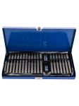 Набор бит SPLINE, TORX, HEX Vertul VR41002, 40пр.